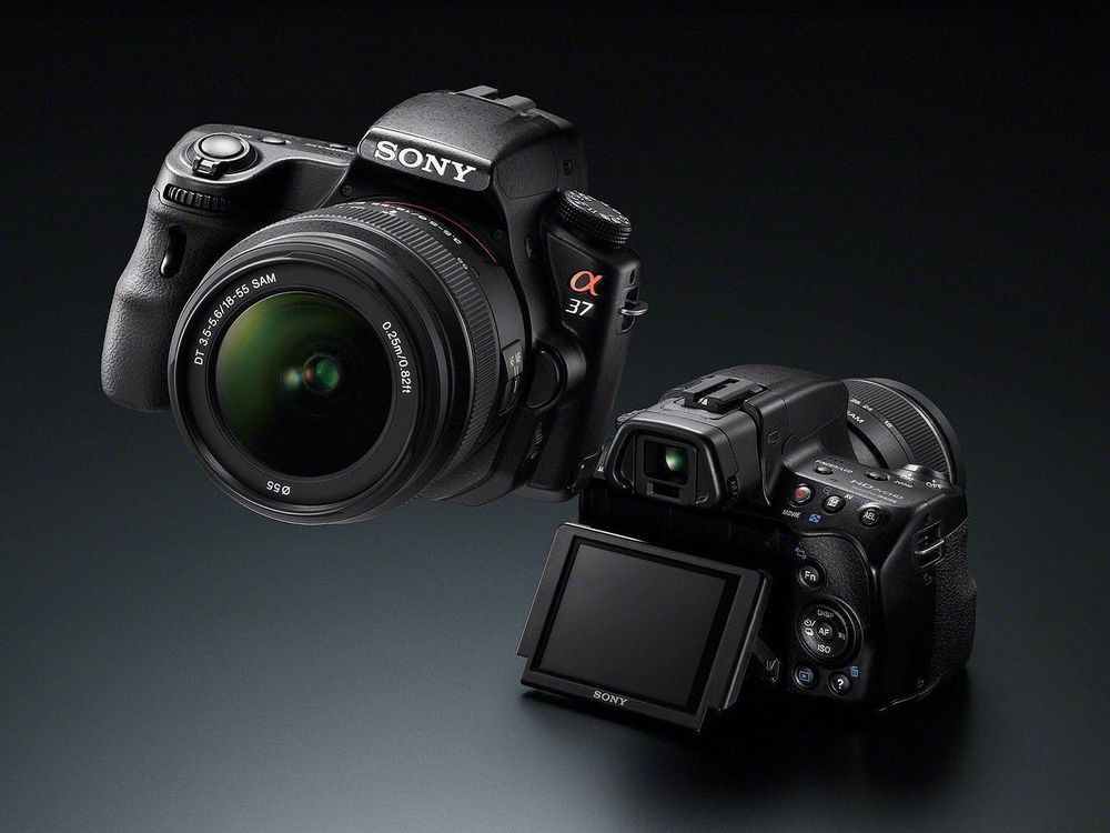 Sony SLT Alpha 37 | Kaufen auf Ricardo