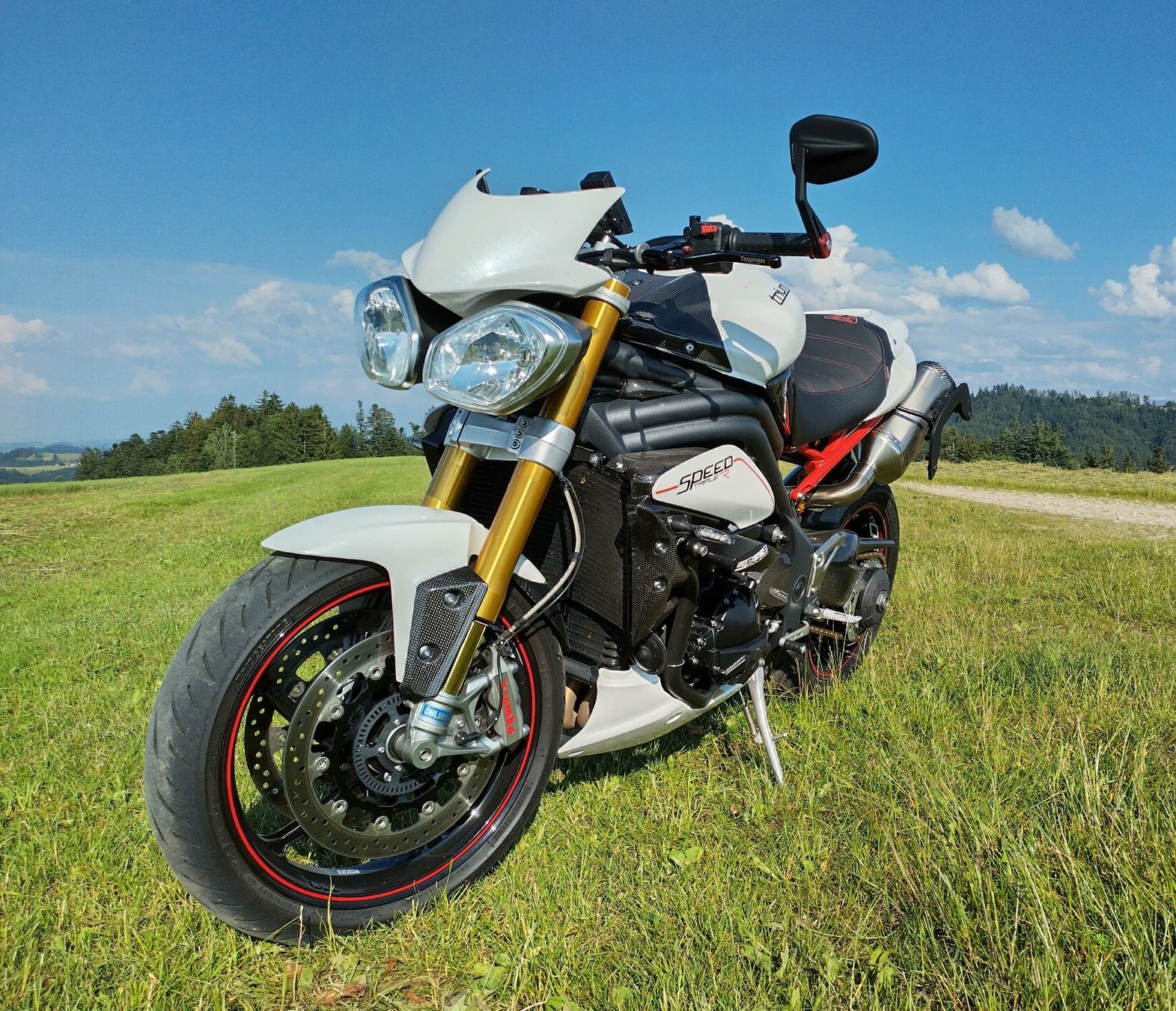 Triumph Strada: Triumph Speed Triple 1050 R  Launch Edition – Usato da Huttwil venduto da Materia 4