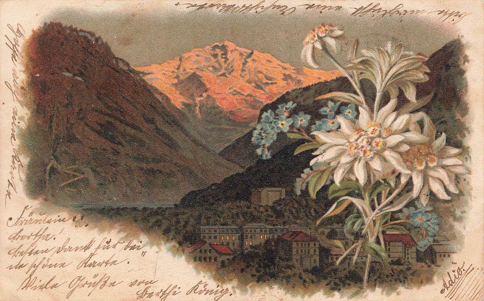 Cartoline postali: Zollikofen edelweiss – Usato da Biasca venduto da Blenio71