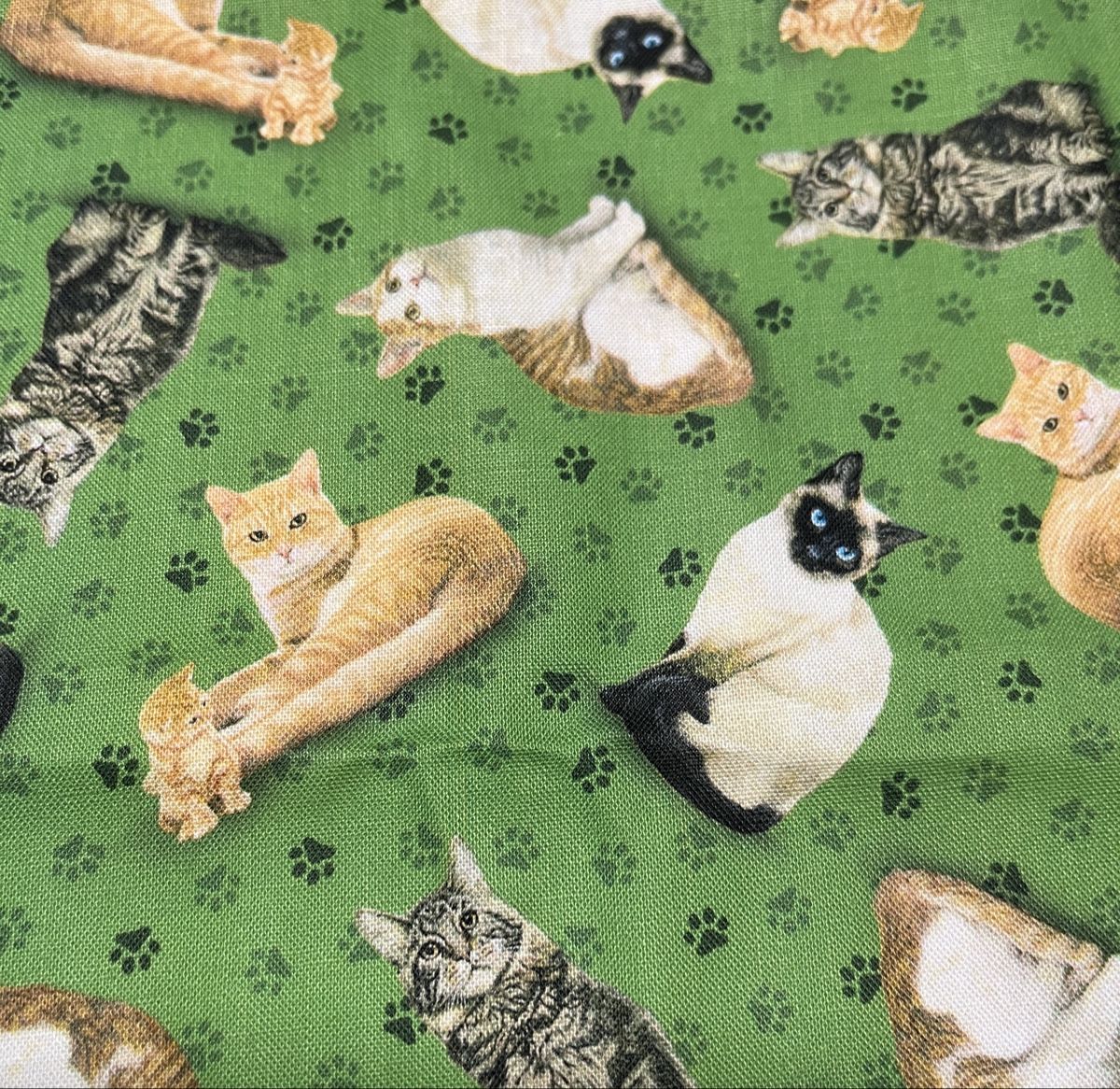 Tessuti: Patchworkstoff Katzen auf grünen Grund – Nuovo (secondo la descrizione) da Seuzach venduto da KreativmitStoff 2