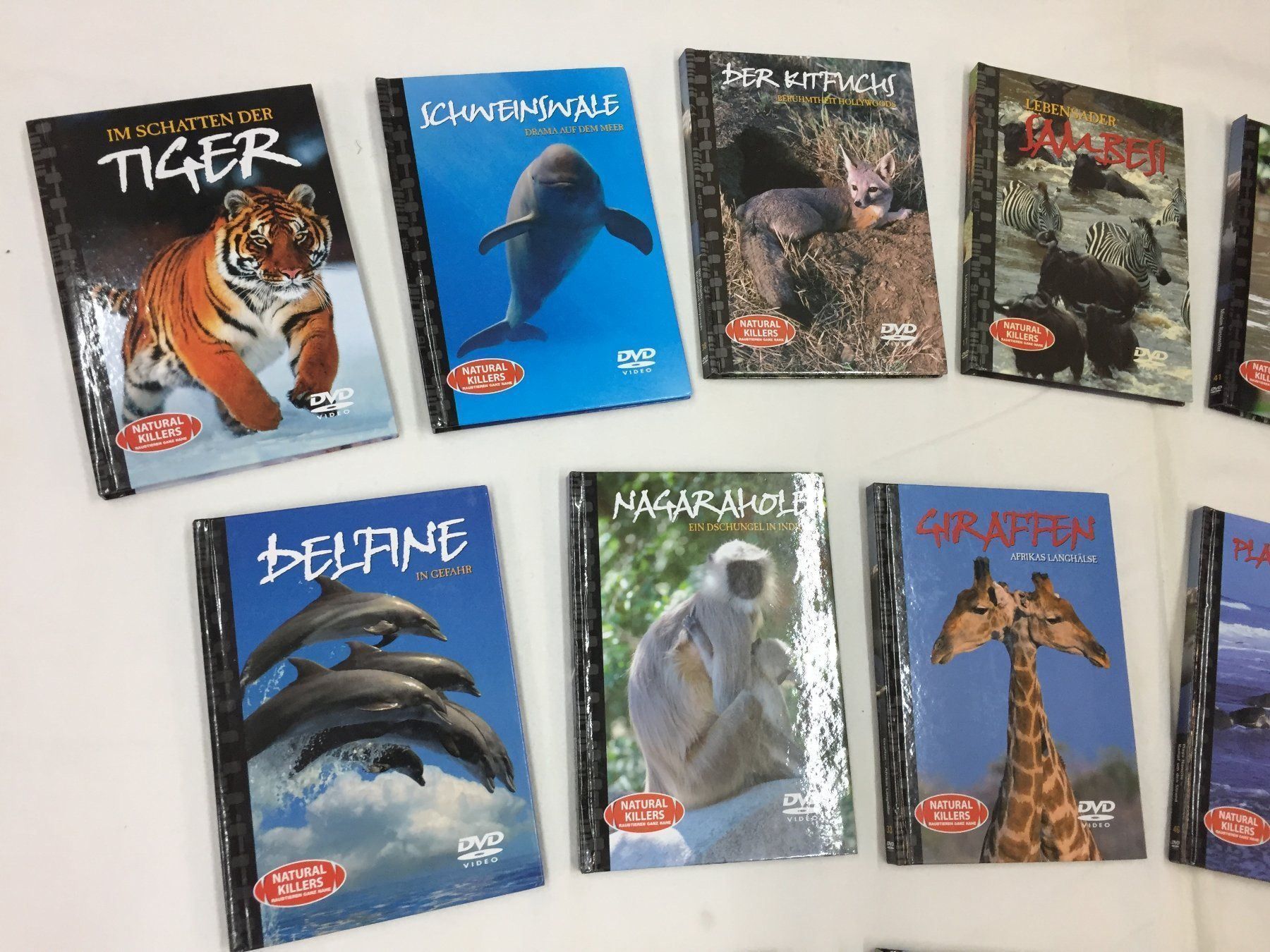 Tutti i DVDs: 18 x DVD "Raubtieren" – Usato da Schaffhausen venduto da sparzone 1