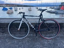 Designer Fixie -- Zebra Black & White Urban Fixie Bike