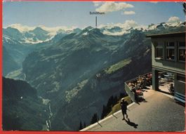 4 Ansichtskarten SCHYNIGE PLATTE Hotel, Bahn, Alpenblumen