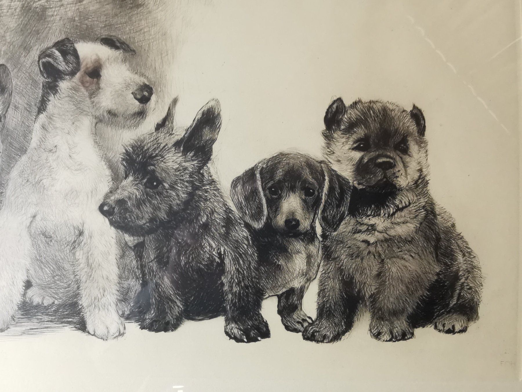 Grafica & Litografie: Hundewelpen, Original-Radierung von Kurt Meyer-Eberhardt – Usato da Dübendorf venduto da aschiduebendorf 7