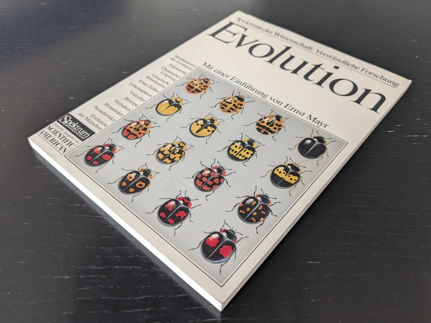 Livres: Spektrum der Wissenschaft: Evolution – D'occasion à Thalwil par sultan03 4