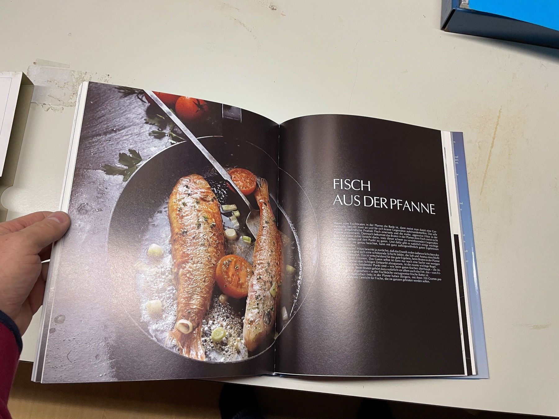 Libri: Tolles Fischbuch neuwertig – Nuovo e nell'imballaggio originale da Winterthur venduto da sportdisco2 1