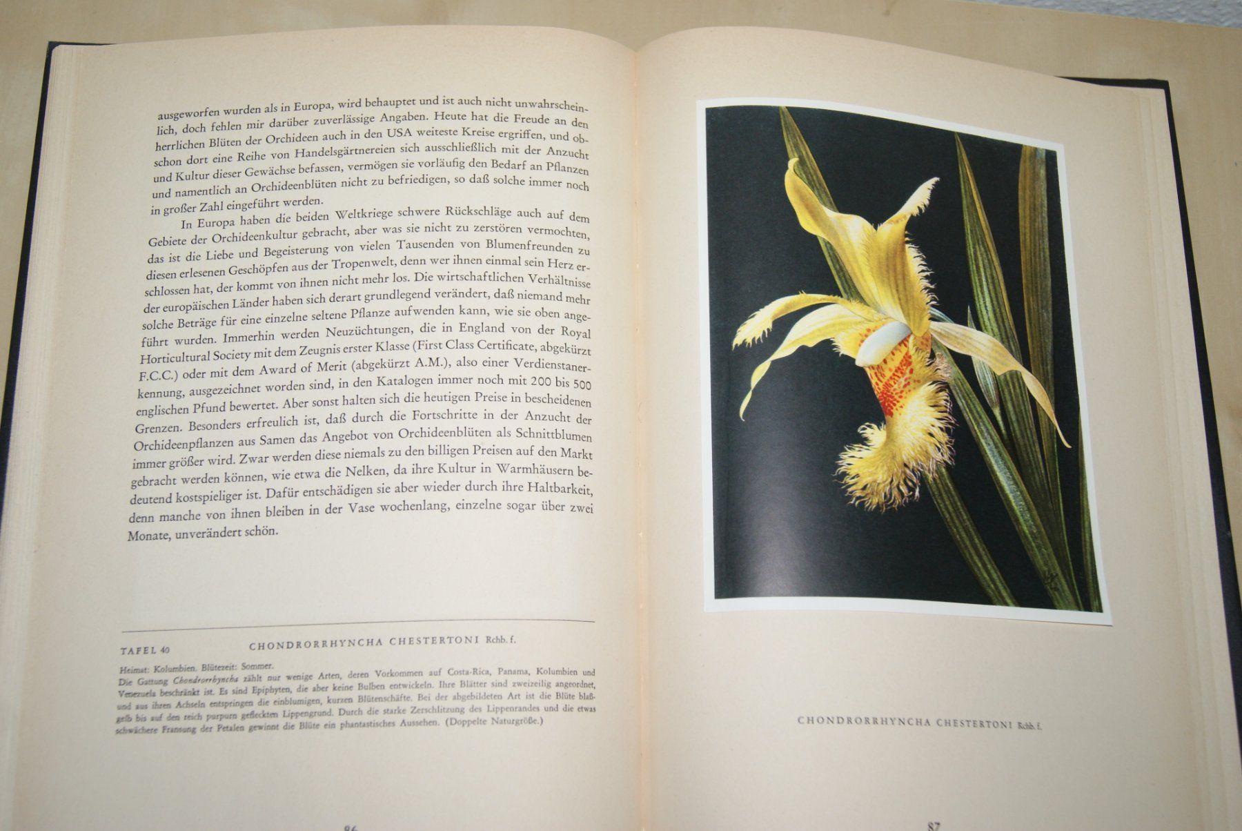 Libri: Orchideen. Silva-Bilderbuch Erste Auflage – Usato da Zürich venduto da Widi1 5