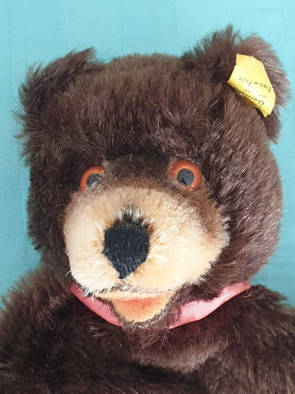 Statuette: Bär Handpuppe STEIFF – Usato da Mörschwil venduto da spirspi 2