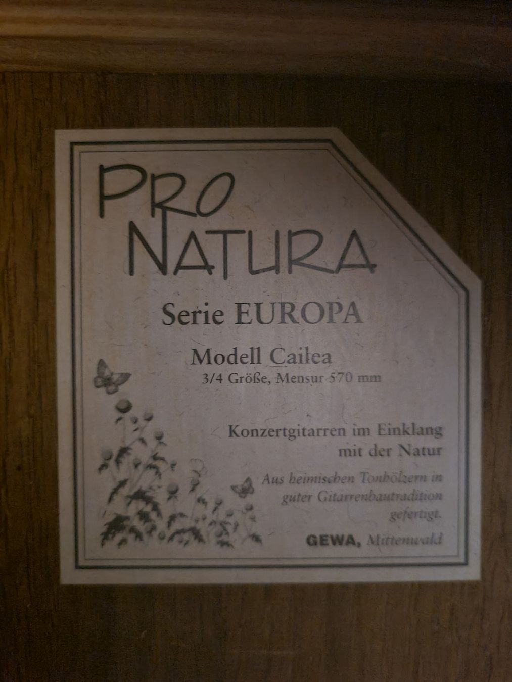 Strumenti musicali: Gitarre – Usato da Waldkirch venduto da Hypertenuse 2