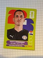WM26 Roberto Fernandez PAR 2