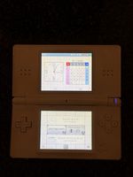 Nintendo DS Lite USB-C & custom LED