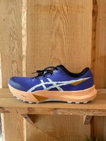 Men's ASICS FUJI LITE 6