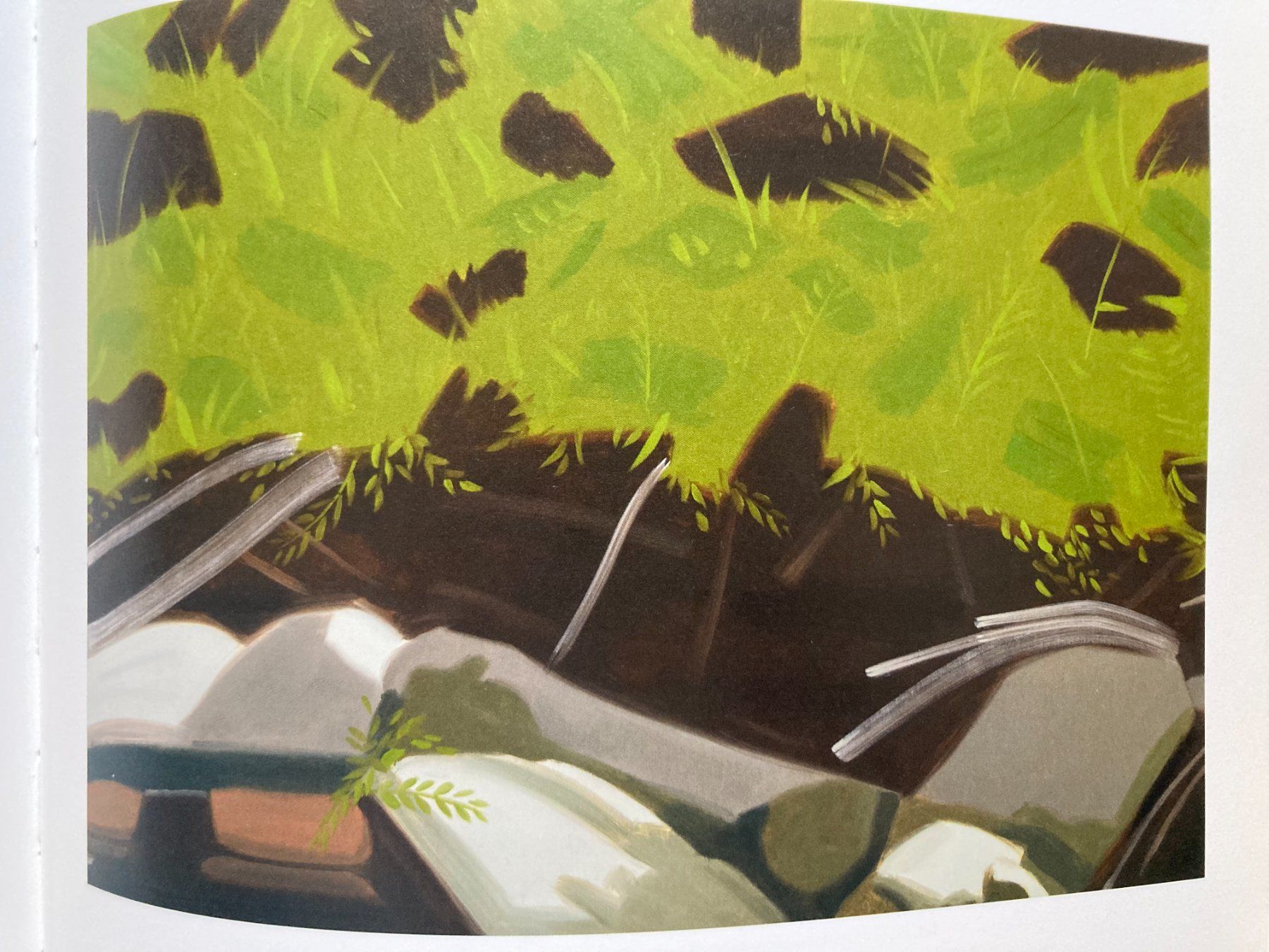 Libri: Alex Katz: Landscapes – Usato da Zürich venduto da Aisthesis 7