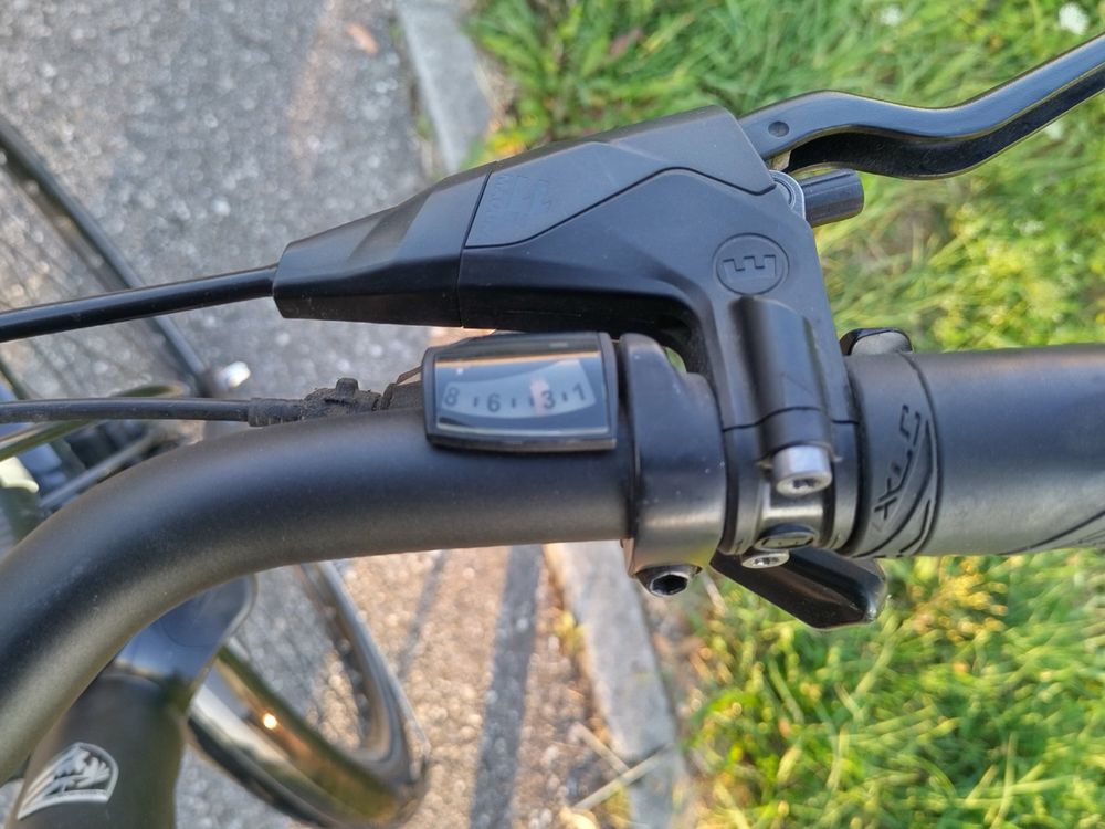 BOSCH Hercules EBike !!OHNE AKKU, LADEGERAET UND DISPLAY!! Kaufen auf Ricardo