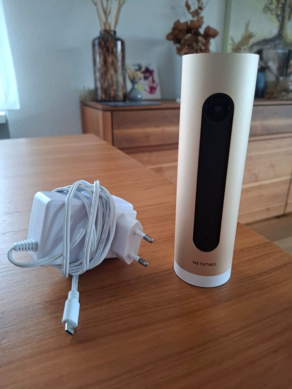 Netatmo Systèmes d'alarme: Netatmo Presence Kamera mit Netzteil – D'occasion à Recherswil par Puntoabarth94