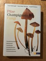 Pilze, Champignons, Fungi, Fred Waldvogel