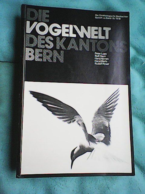 Bücher: Stadt Bern - Konvolut – Gebraucht aus Rümlang von Vuvuzella 1