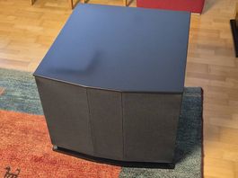 Teufel M11000 mit IcePower250A und MiniDSP