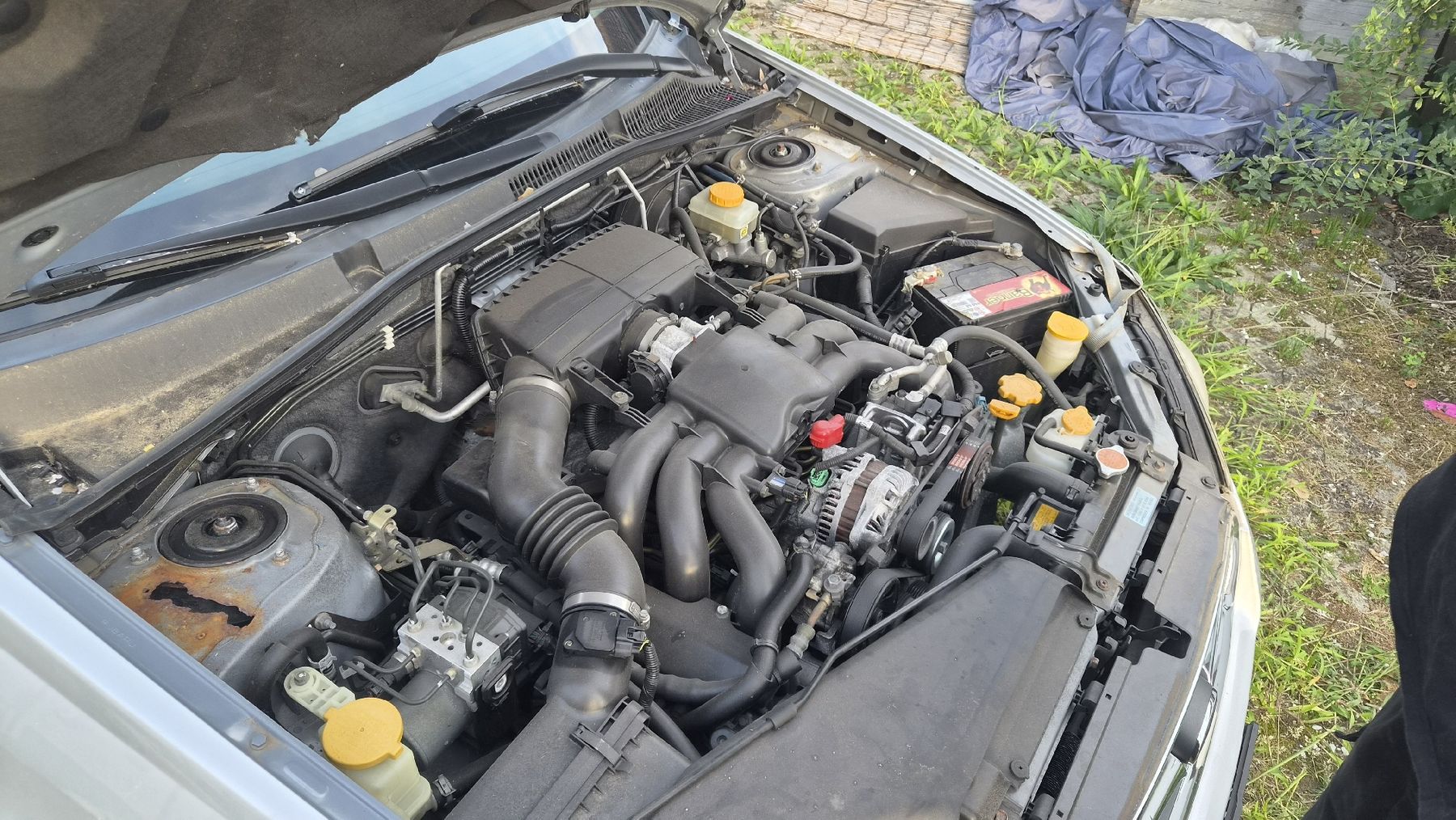 Subaru Automobili: Subaru Legacy 3.0 für Export oder Teile – Difettoso da Auw venduto da StevesWorld 2