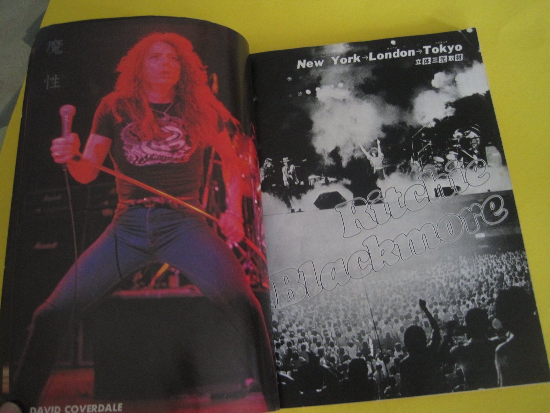 Libri: Viva Rock Blackmore Deep Purple MSG 1981 – Usato da Gossau SG venduto da Noryflory 4