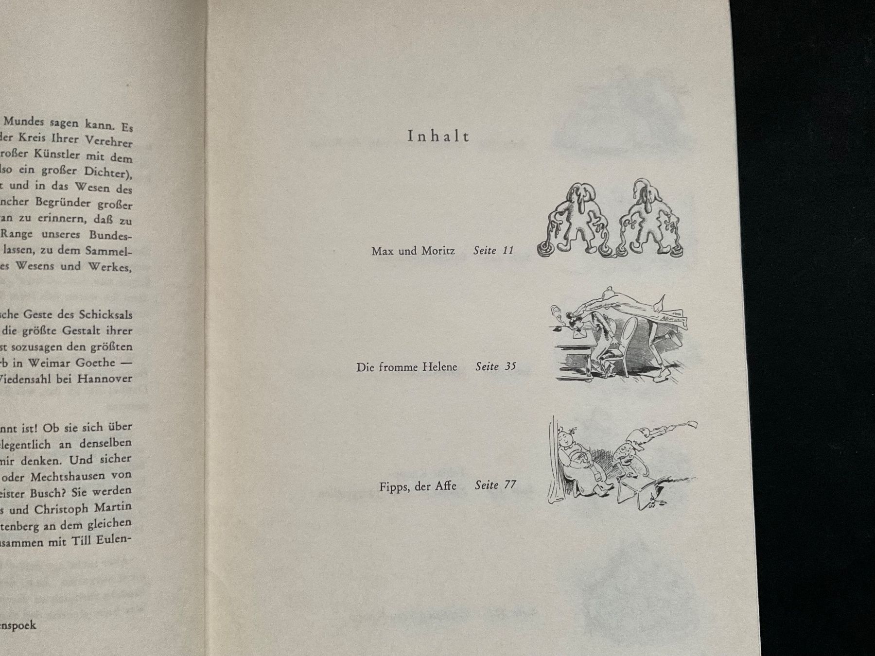 Libri: Willhelm Busch ALBUM – Usato da Bottighofen venduto da onyx42 1