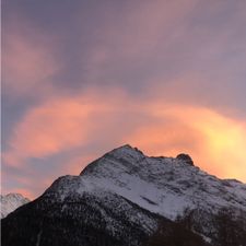 Profile image of tschuedi68