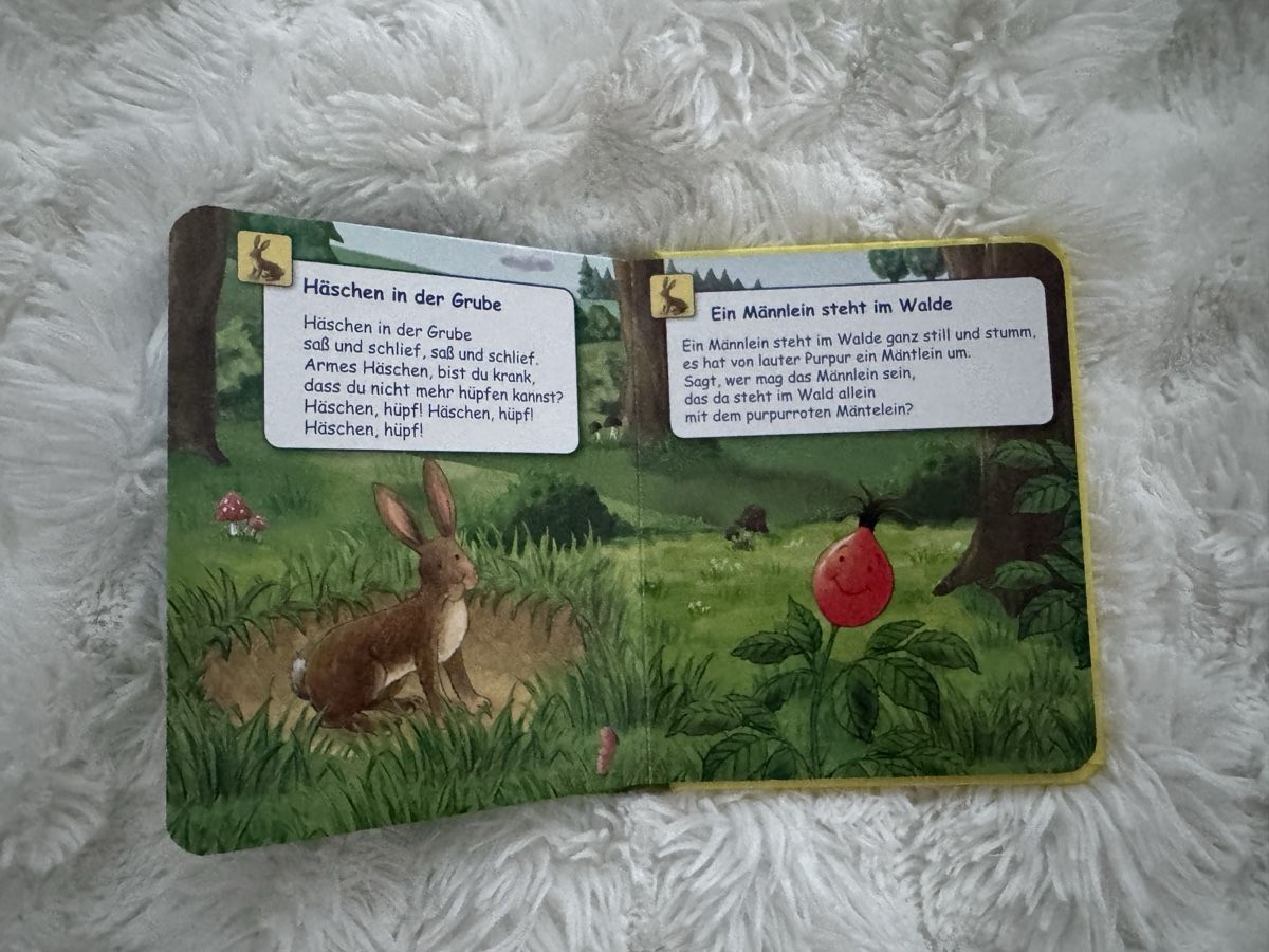 Bücher: Kinderbuch: Meine Kinderlieder – Gebraucht aus Sins von sum_lv6d 5