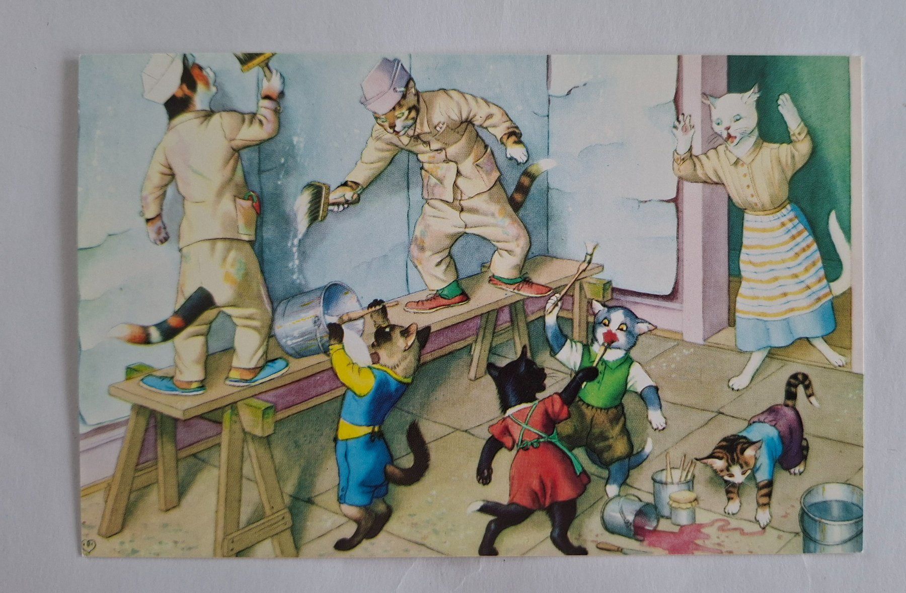 Cartoline postali: AK Katzen Katzenkarte Nr. 215 – Usato da Opfikon venduto da Diversamente
