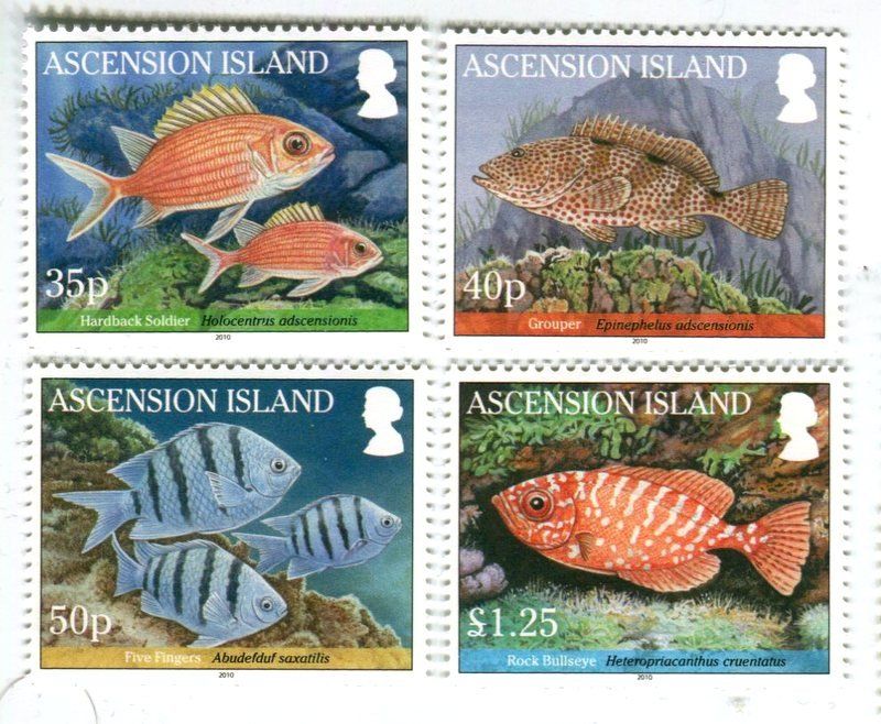 Tutti i francobolli: Briefmarken "Fische". Ascension. – Nuovo e nell'imballaggio originale da Basel venduto da Butsch5