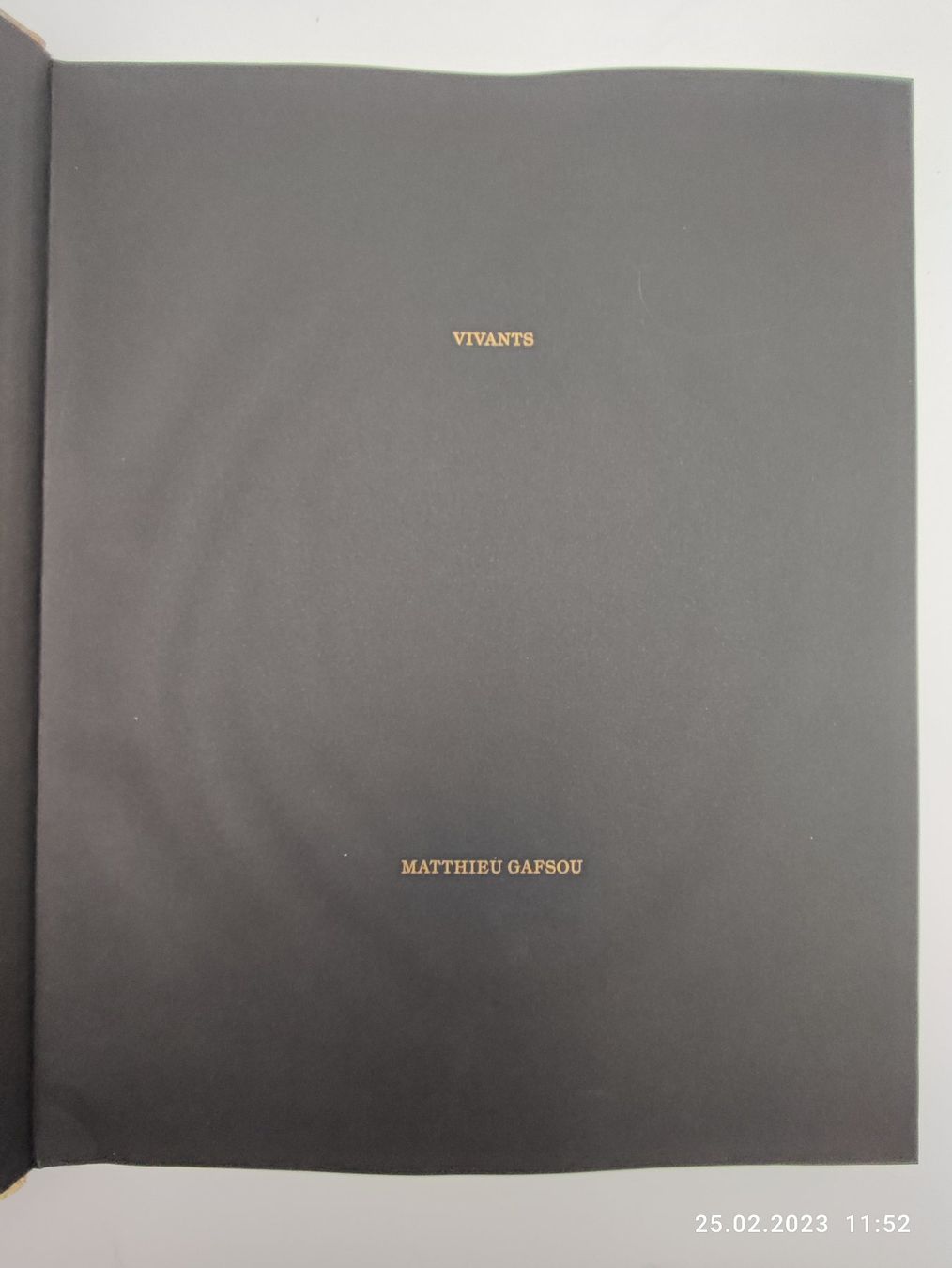 Libri: PHOTOBOOKS - MATTHIEU GAFSOU – Usato da Goldach venduto da Gaip 6
