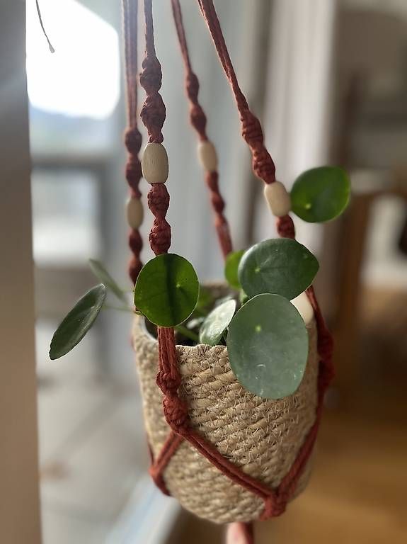Tutte le decorazioni: Blumenampel Makramee – Usato da Luzern venduto da bse_11x 1