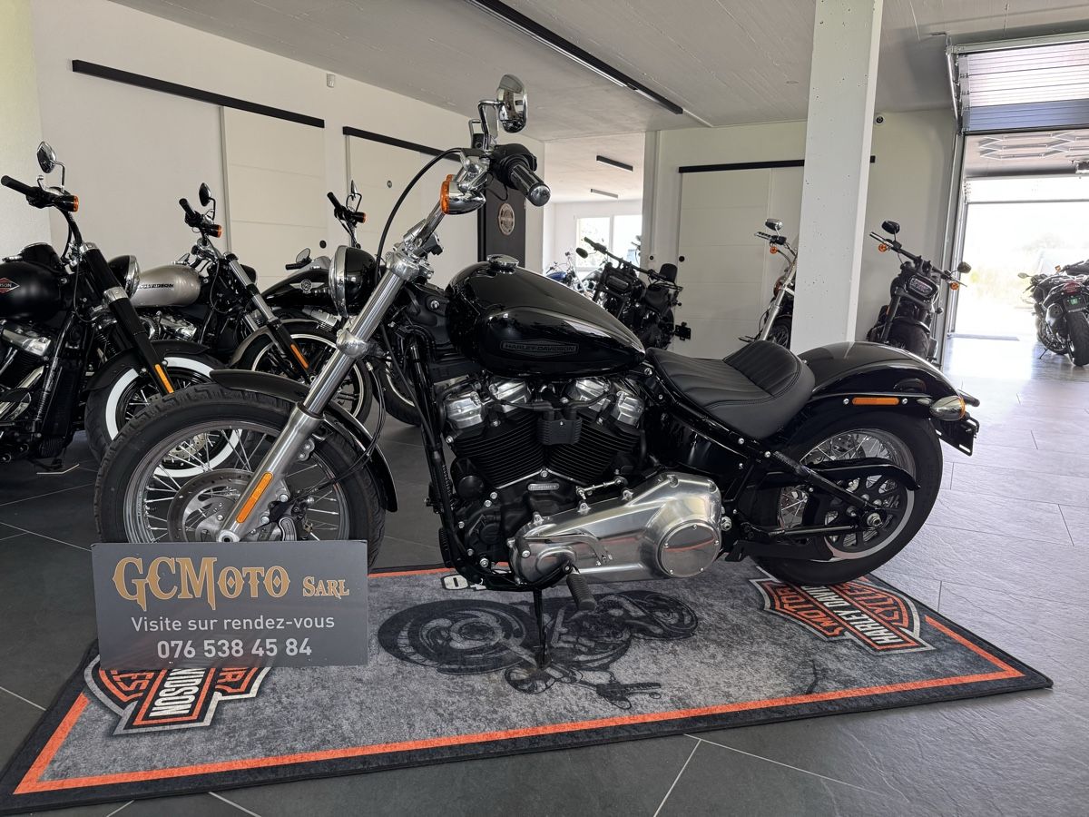 Harley-Davidson Chopper: Harley Davidson FXST 107 Softail Standard LEASING POSSIBLE – Usato da Echallens venduto da HD90 7