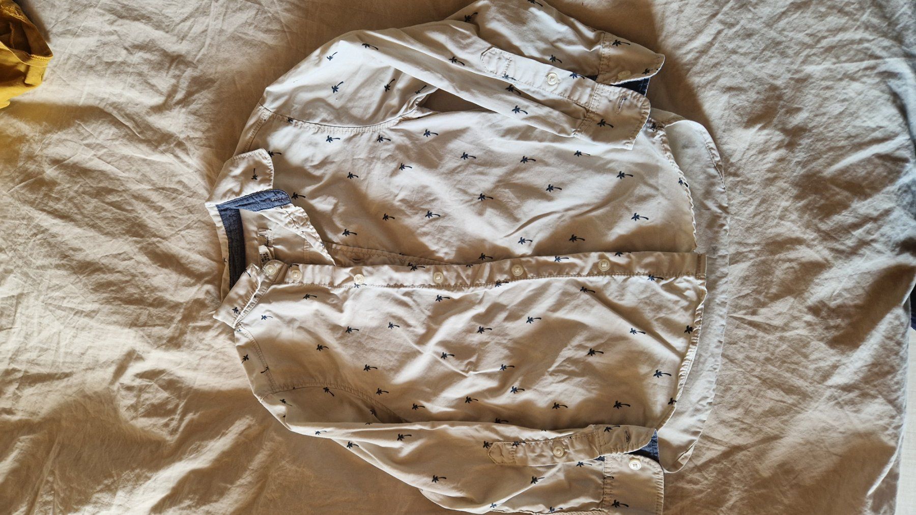 Camicie, T-shirt & Polo: Jungen Hemden Gr. 116 – Usato da Oensingen venduto da Nussikowski 2