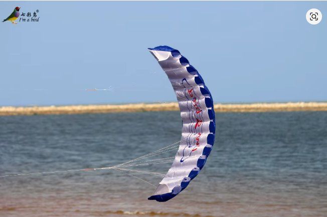 Aquilone: Drachen / Kite - Trickkite Lenkdrachen, Grösse 1.4 Meter, – Nuovo e nell'imballaggio originale da Niederwil SG venduto da kaseopeia 2