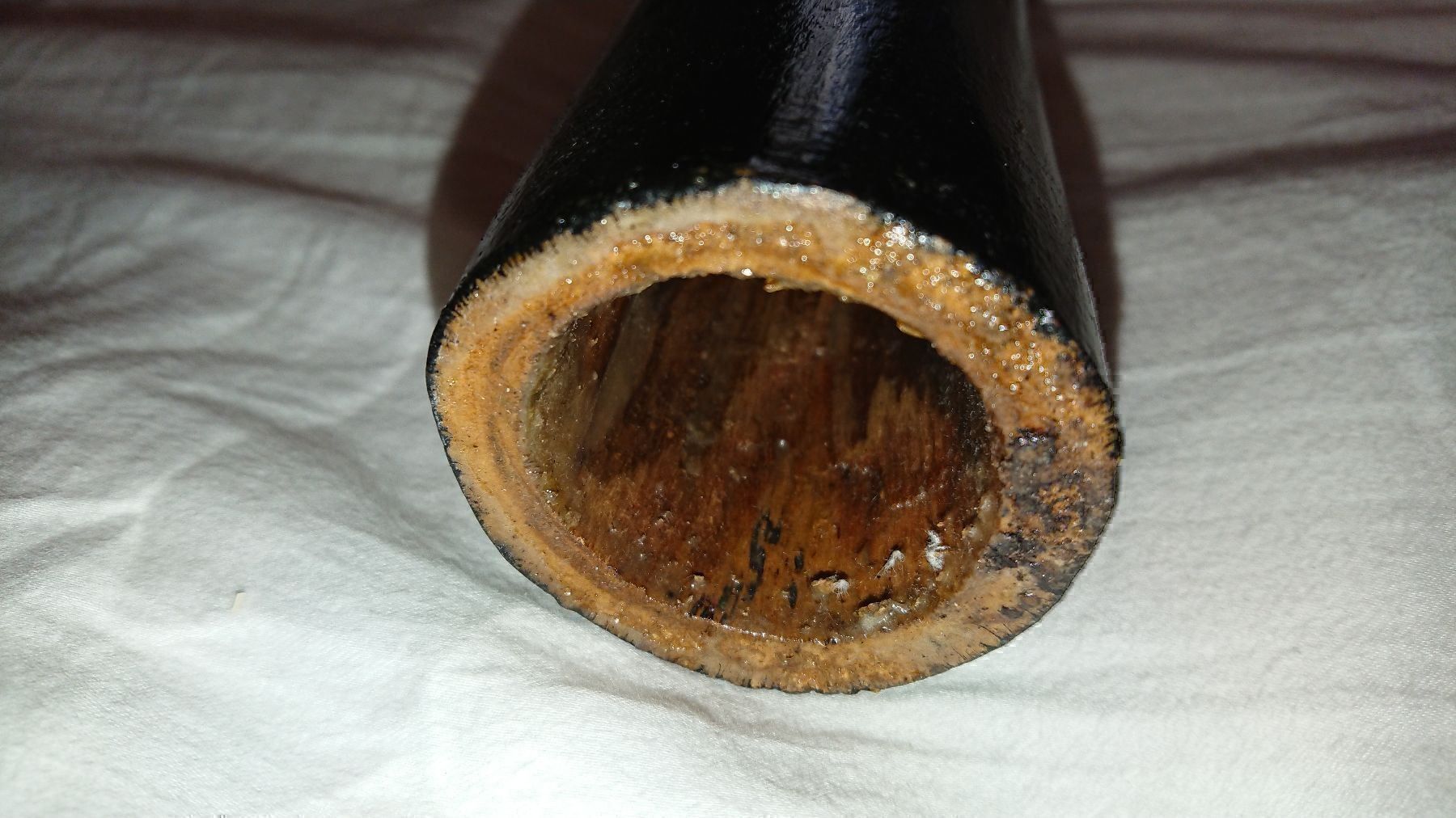 Strumenti musicali: Didgeridoo / Australie – Nuovo (secondo la descrizione) da Cortaillod venduto da signep 6
