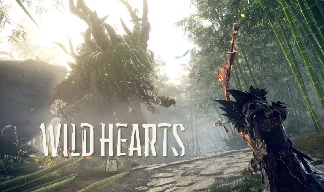 Sony Giochi: PS 5 Spiel Wildhearts – Nuovo e nell'imballaggio originale da Niederhasli venduto da nic_65cm 4