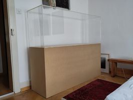 Vitrine mit Acrylglas und Holzsockel gut erhalten