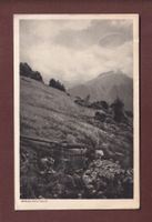 BRAUNWALD - 1920