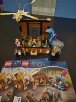 LEGO - la valise des Animaux Fantastiques 75952