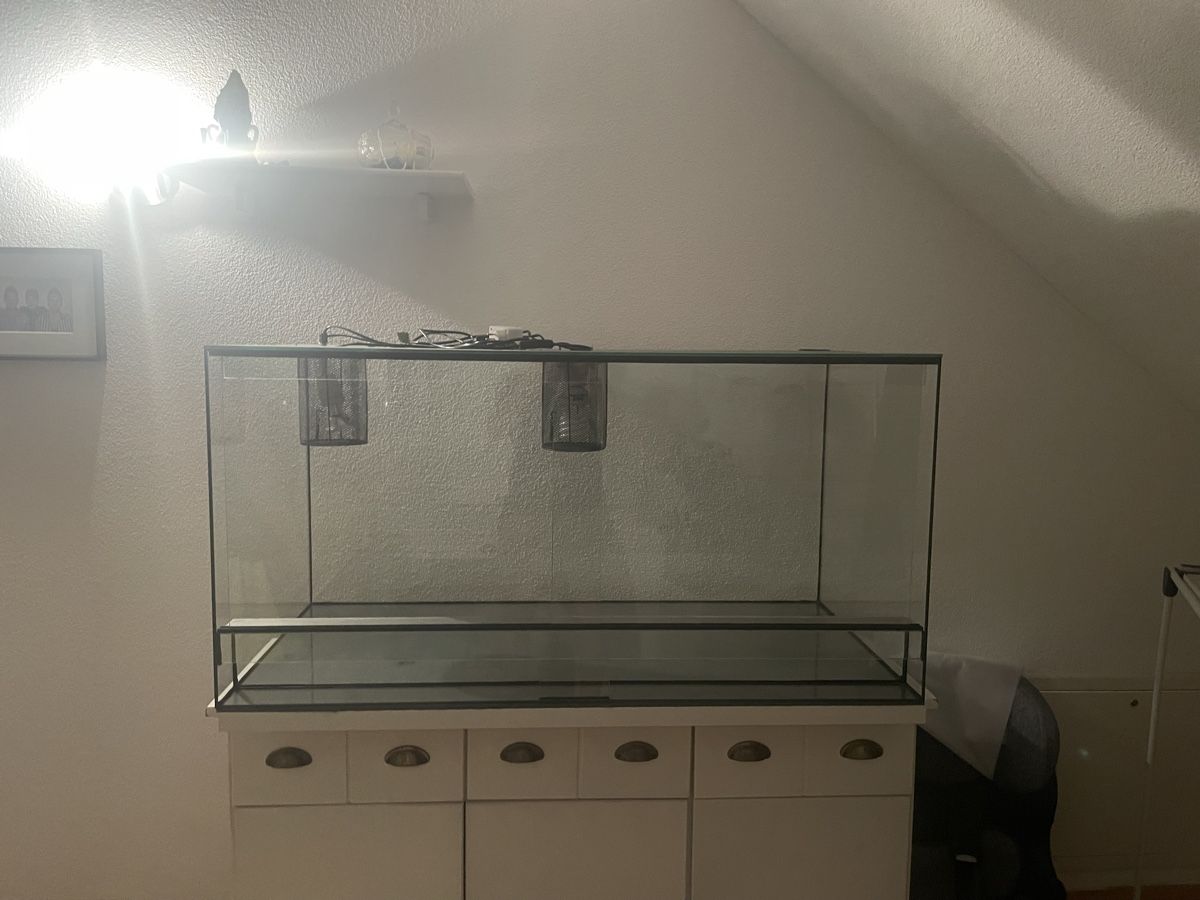 Terrariums: Schlangen Terrarium ca. 400l – D'occasion à Willisau par Marcello63