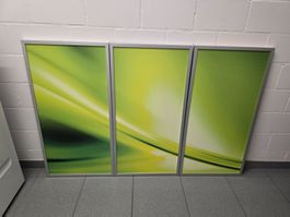 3 Moderne Wandbilder grün Alurahmen