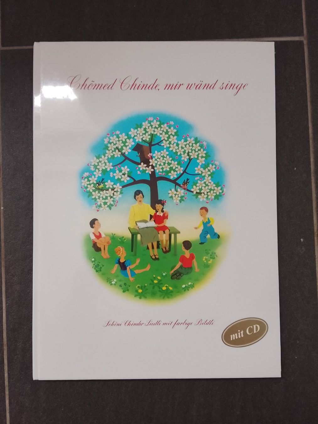 Livres: Liederbuch - neu – Neuf avec emballage d'origine à St. Gallen par Fluros