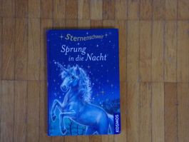 Sternenschweif Sprung in die Nacht  Band 2