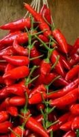 Chili GIRLANDE aus Sizilien Gewurze