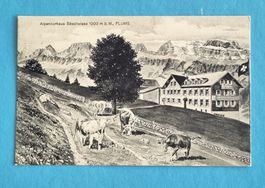 Flums - Alpenkurhaus Sässliwiese - 1910