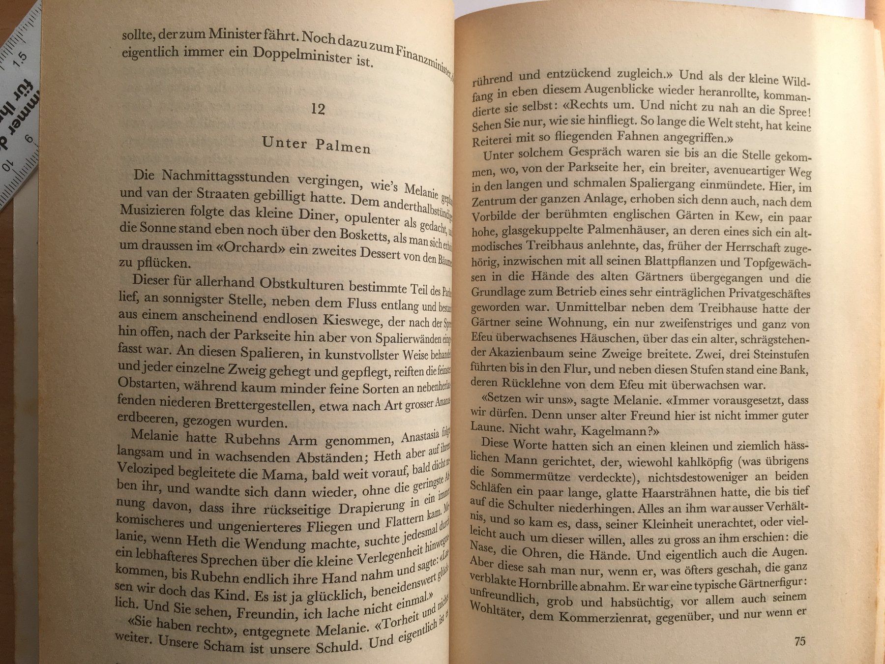 Libri: L'adultera; Theodor Fontaine – Usato da Grenchen venduto da Kogi7 3