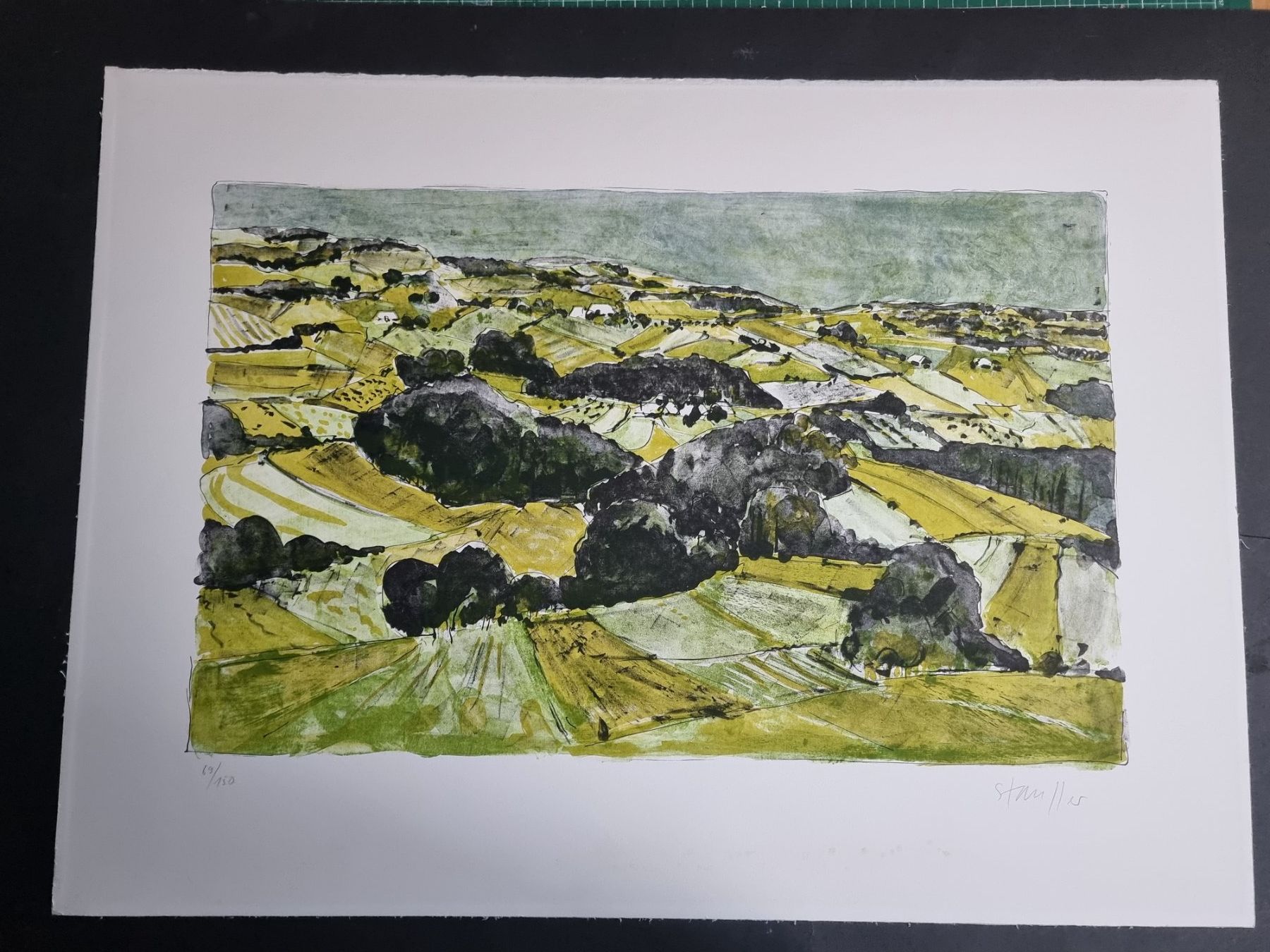 Grafica & Litografie: BODO STAUFFER LITHOGRAPHIE SIGNIERT NUMMERIERT – Usato da Gersau venduto da kunst-online