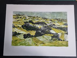 BODO STAUFFER LITHOGRAPHIE SIGNIERT NUMMERIERT