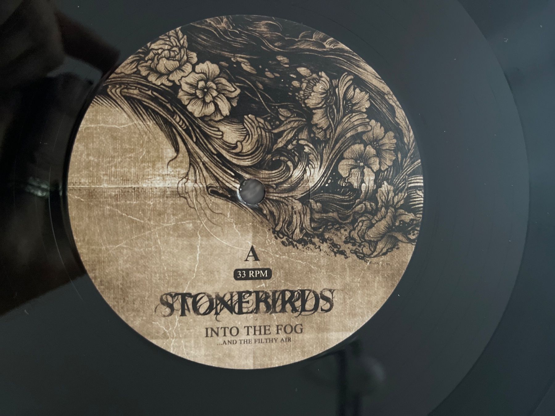 Schallplatten: S1418/Stonebirds - Into The Fog – Gebraucht aus Frutigen von Philippe_jsp 2