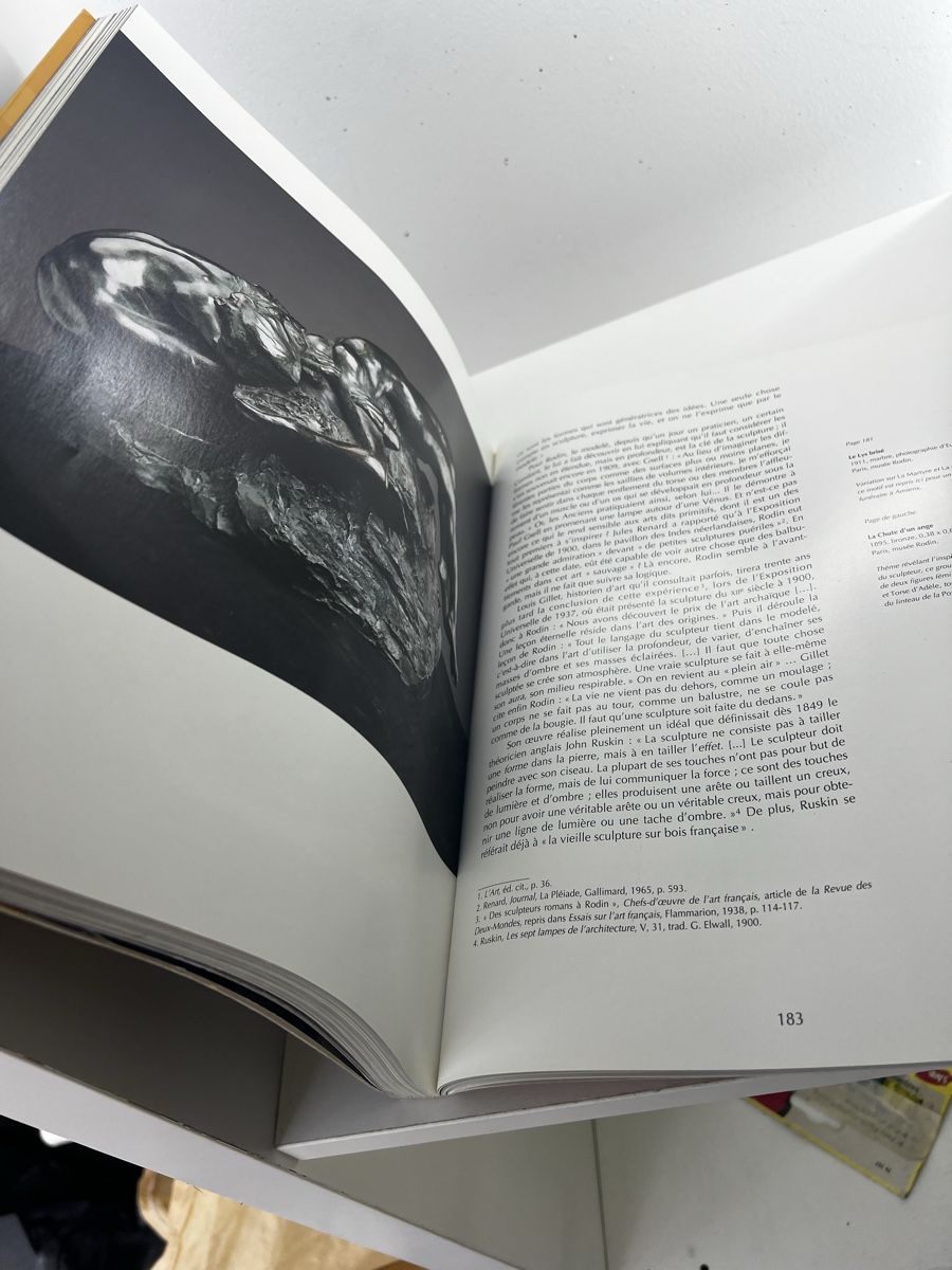Bücher: Rodin La passion mouvement – Gebraucht aus Wettingen von NickInc 4